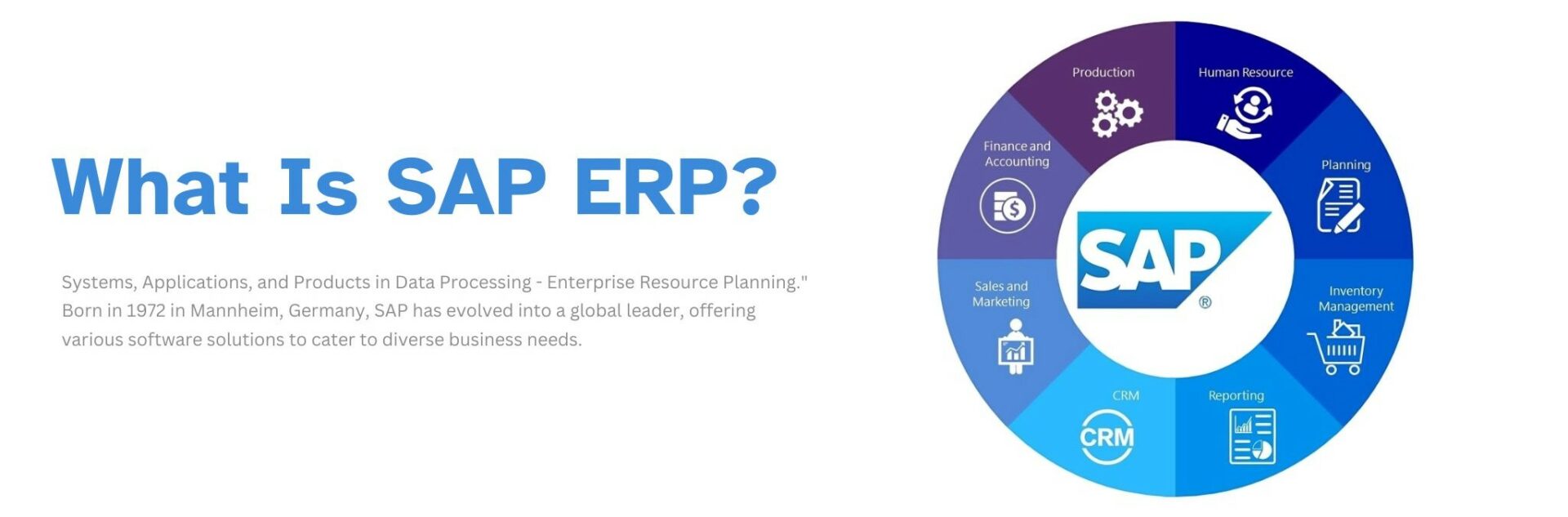 What is SAP ERP